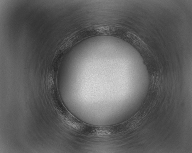 X0000083550702200702240111