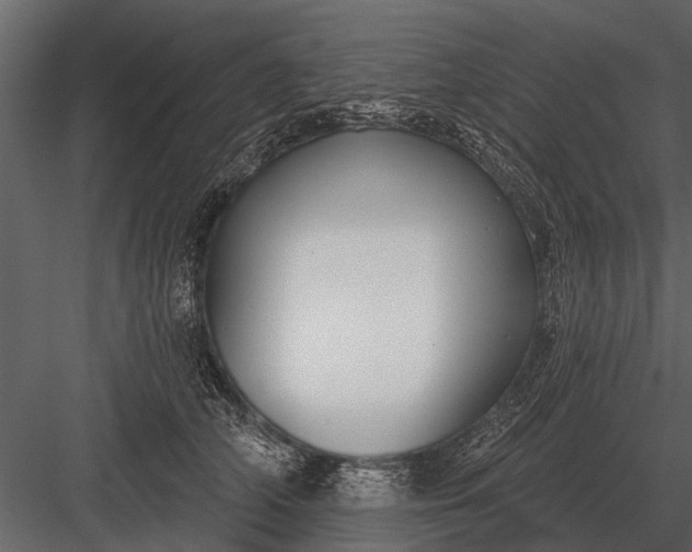 X0000083550706200702240111