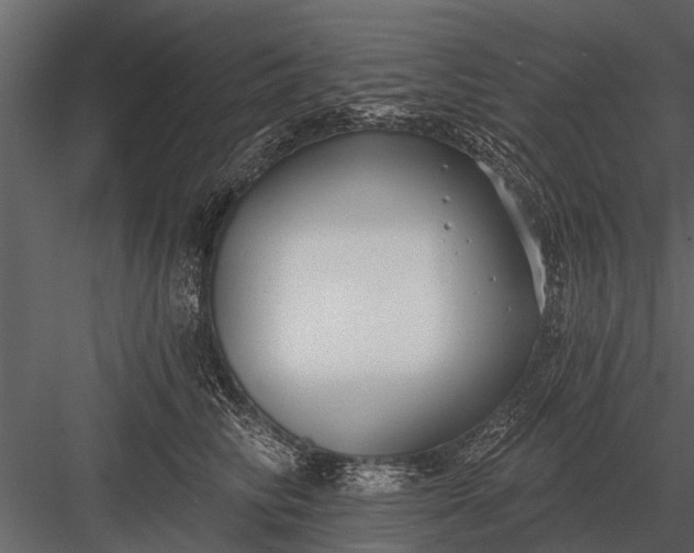 X0000083550710200702240111