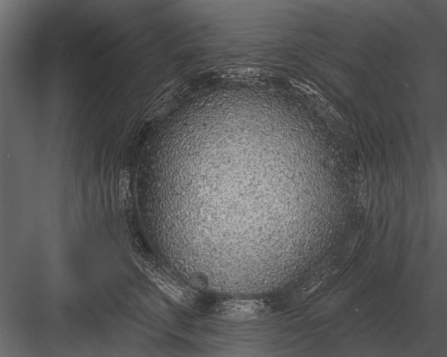 X0000083550711200702240111