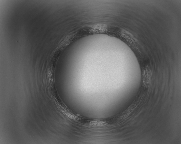 X0000083550714200702240111