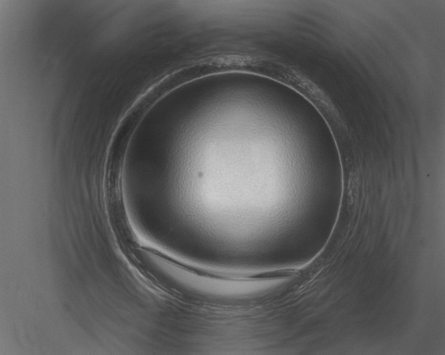 X0000083550722200702240110