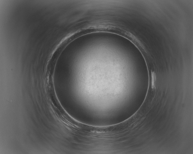 X0000083550723200702240110