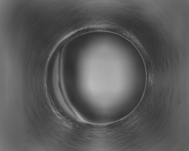 X0000083550724200702240110