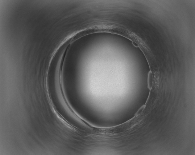 X0000083550726200702240110