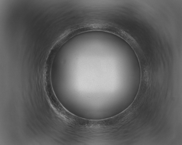 X0000083550730200702240110