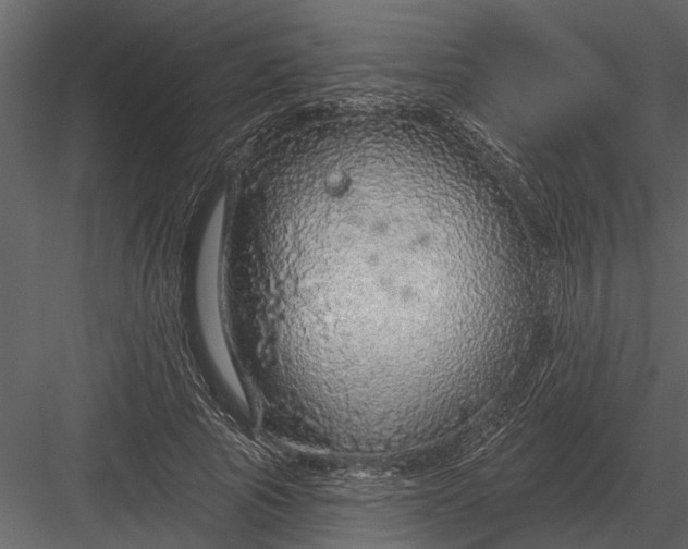 X0000083550737200702240110
