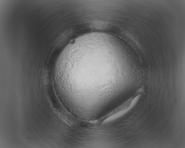 X0000083550738200702240110