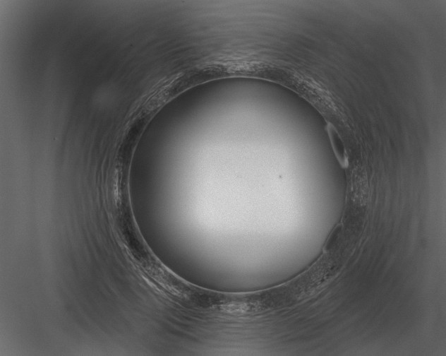 X0000083550740200702240110