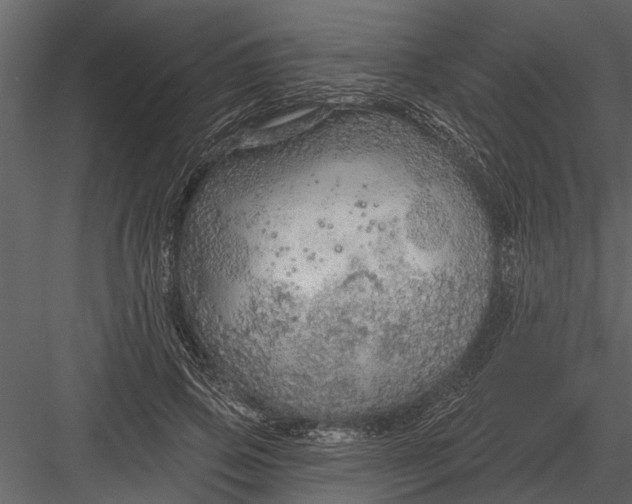 X0000083550741200702240111