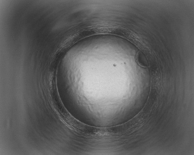 X0000083550742200702240111