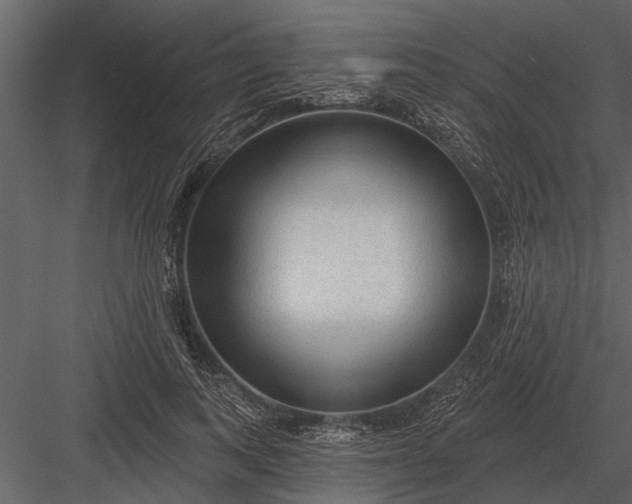 X0000083550743200702240111