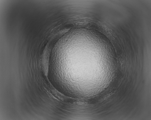 X0000083550745200702240111