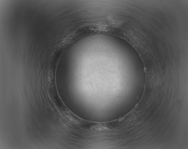X0000083550747200702240111