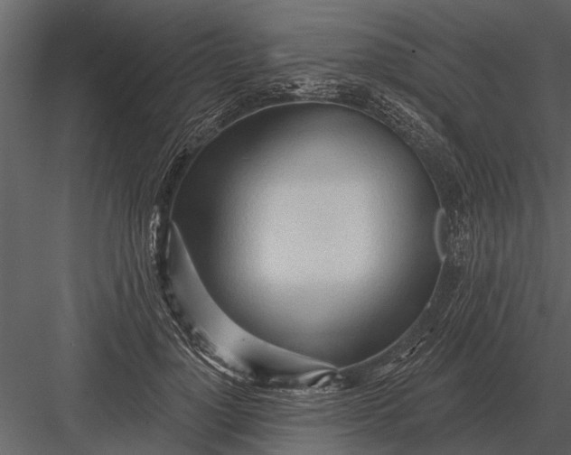 X0000083550748200702240111