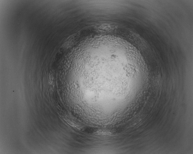 X0000083550749200702240111