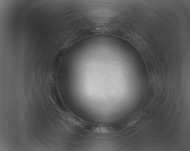 X0000083550751200702240111