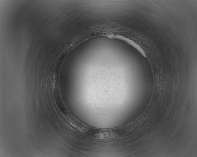 X0000083550752200702240111