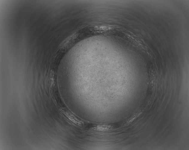 X0000083550758200702240111