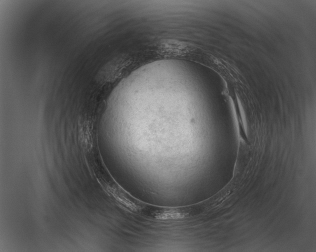 X0000083550759200702240111