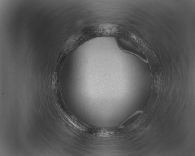 X0000083550760200702240111