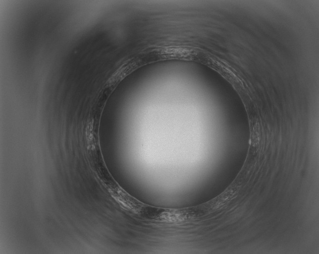 X0000083550764200702240111