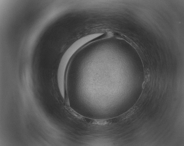 X0000083550767200702240111