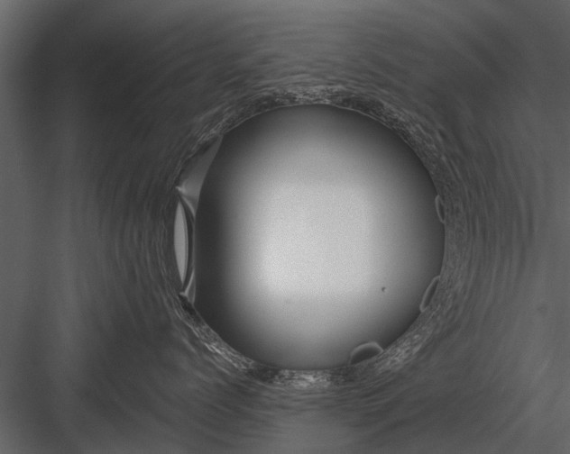 X0000083550768200702240111