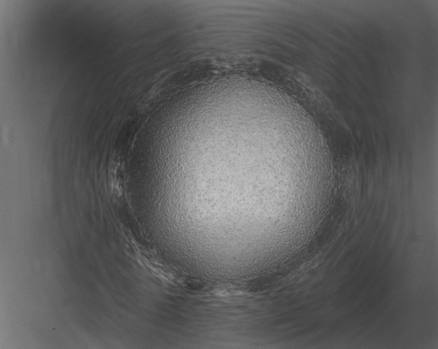 X0000083550770200702240110