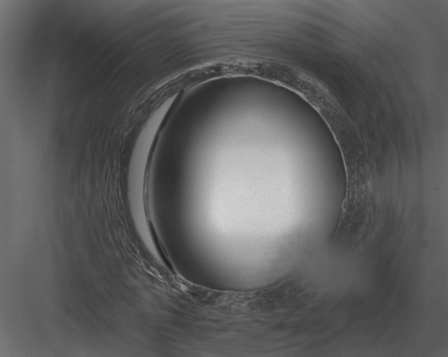 X0000083550773200702240110