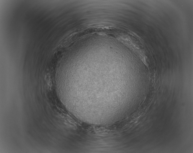 X0000083550774200702240110