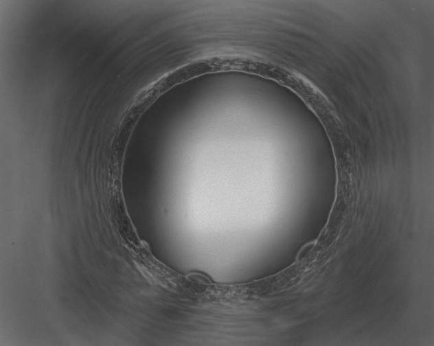 X0000083550775200702240110