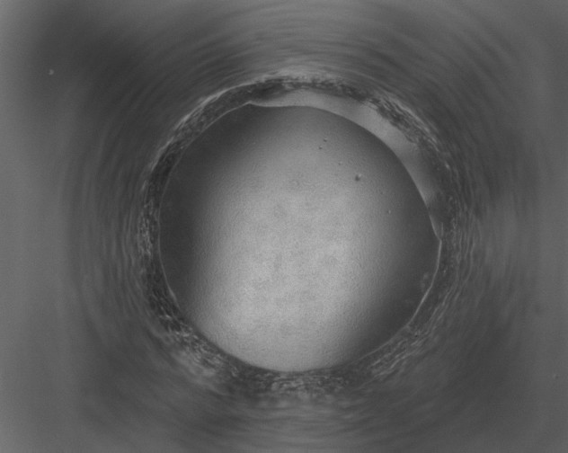 X0000083550776200702240110