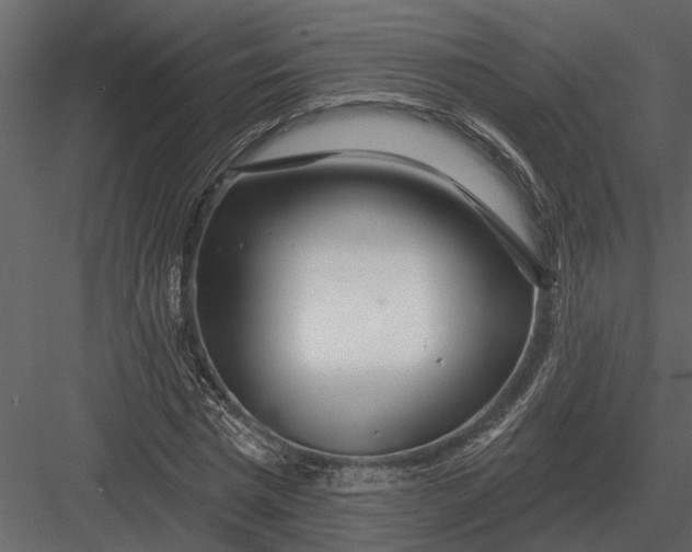 X0000083550777200702240110