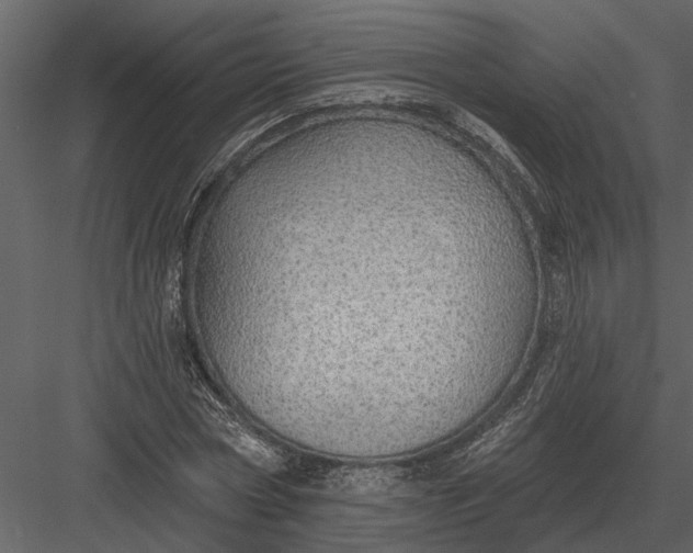 X0000083550778200702240110