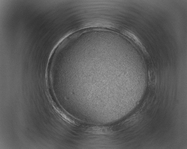 X0000083550780200702240110