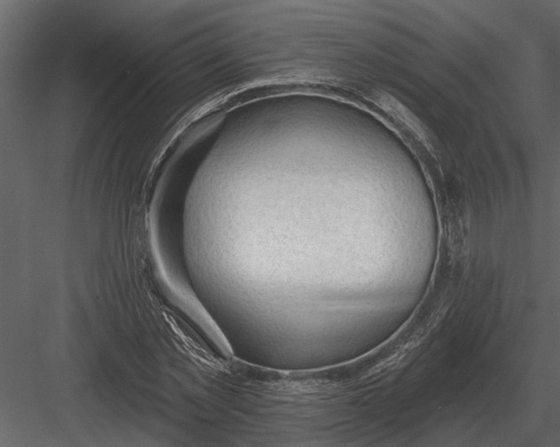 X0000083550781200702240110