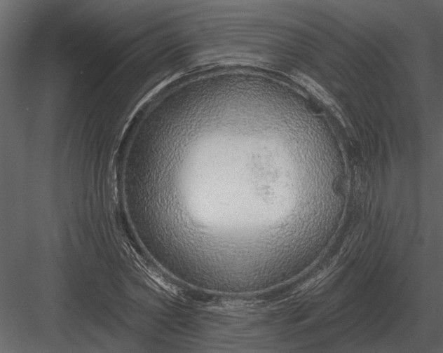 X0000083550782200702240110
