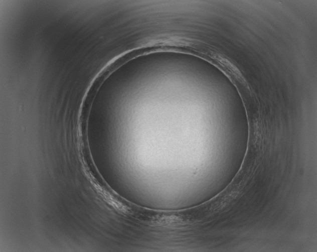 X0000083550784200702240110