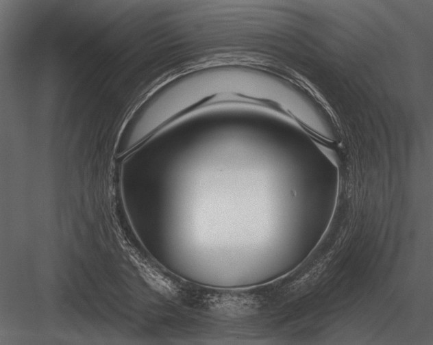 X0000083550786200702240110