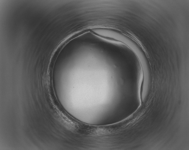 X0000083550787200702240110