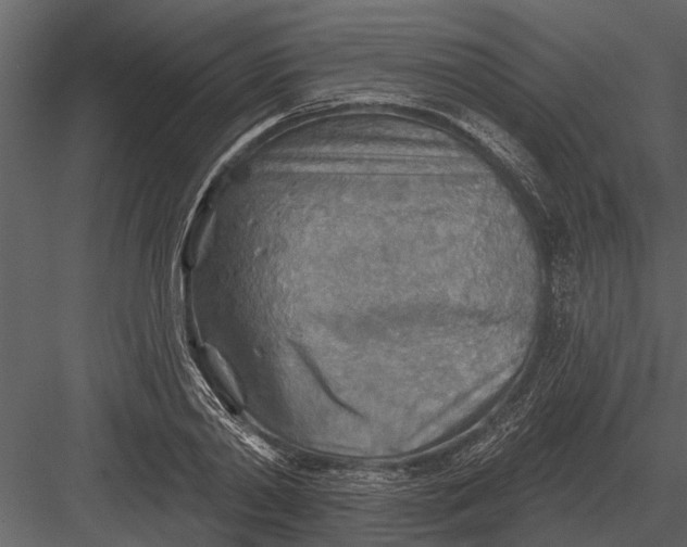 X0000083550790200702240110
