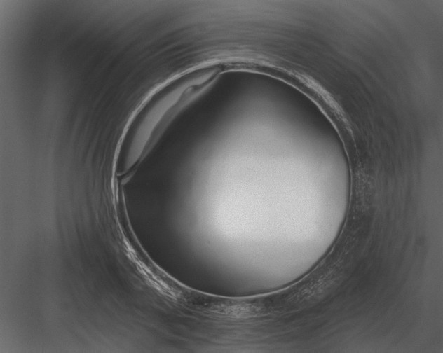 X0000083550791200702240110