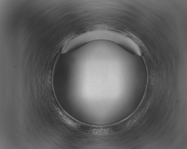X0000083550793200702240110