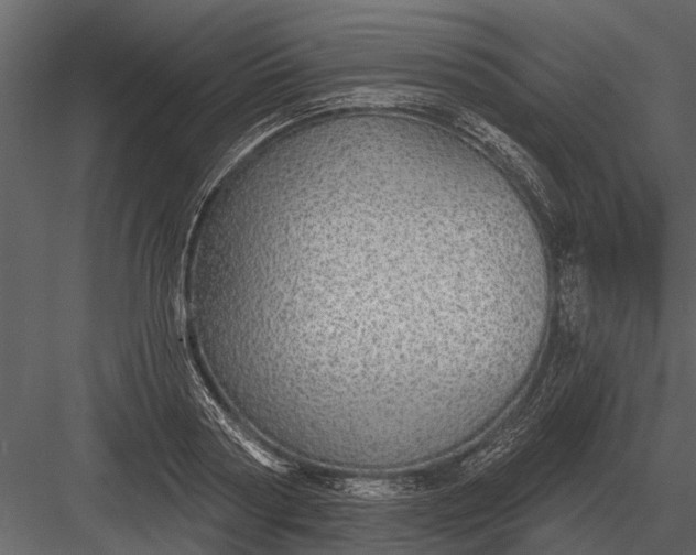 X0000083550794200702240110