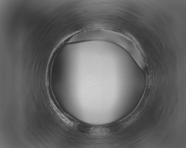 X0000083550795200702240110