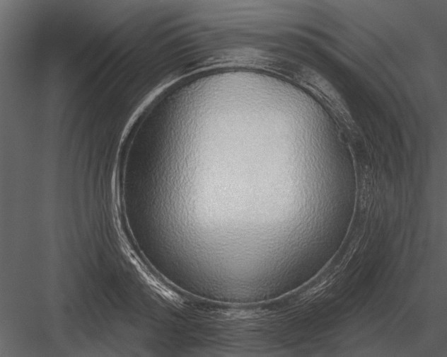 X0000083550796200702240110