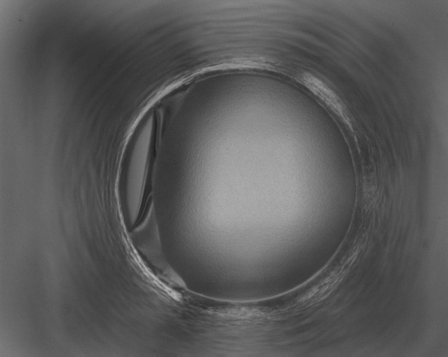 X0000083550797200702240110