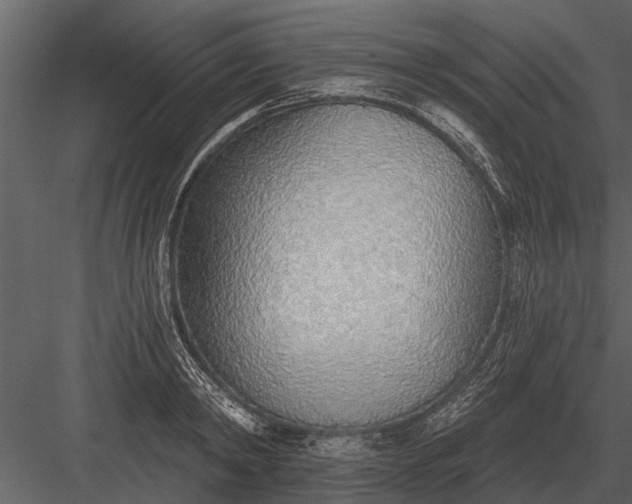 X0000083550798200702240110