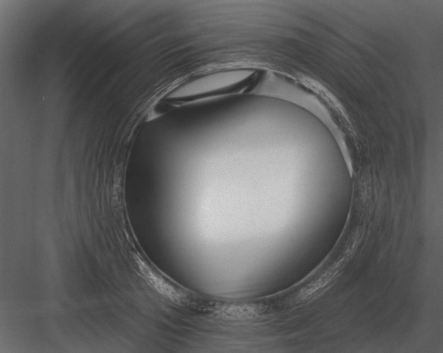 X0000083550801200702240110